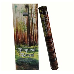Zeige Details für 120 Tropical Forest Räucherstäbchen Tropenwald Bild von 120 Tropical Forest Räucherstäbchen Tropenwald