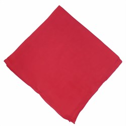 Zeige Details für Nickituch rot 50x50cm Bandana Bild von Nickituch rot 50x50cm Bandana
