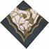 Bild von Nickituch schwarz gold Kordelmuster Halstuch, Bild 1