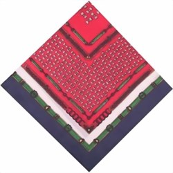 Zeige Details für Nickituch rot grün blau Blumen Gurtmuster  Bild von Nickituch rot grün blau Blumen Gurtmuster