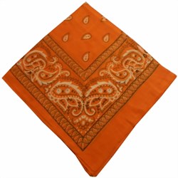 Zeige Details für Bandana orange Nickituch Paisley-Muster  Bild von Bandana orange Nickituch Paisley-Muster