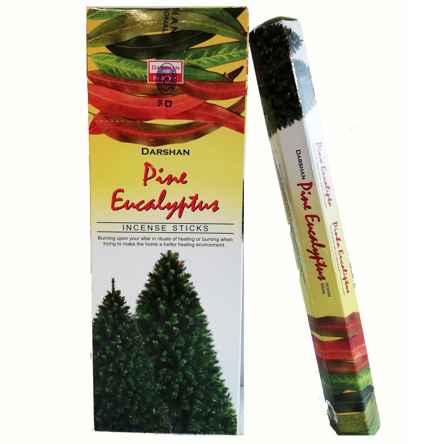 Bild von 120 Pine Eucalyptus Räucherstäbchen Kiefer Eukalyptus