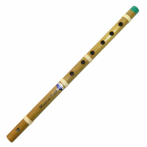 Bild von Bambusflöte indisches Musikinstrument