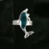 Bild von Seeopalring Delfin
, Bild 1