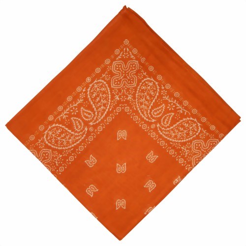 Bild von Bandana in cotone rosso terracotta Paisley bianco
