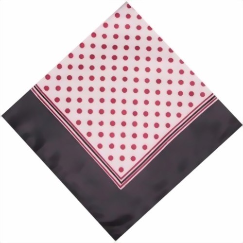 Bild von Foulard puntinato rosso, bordo nero
