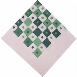 Bild von Foulard scacchiera bianco verde
