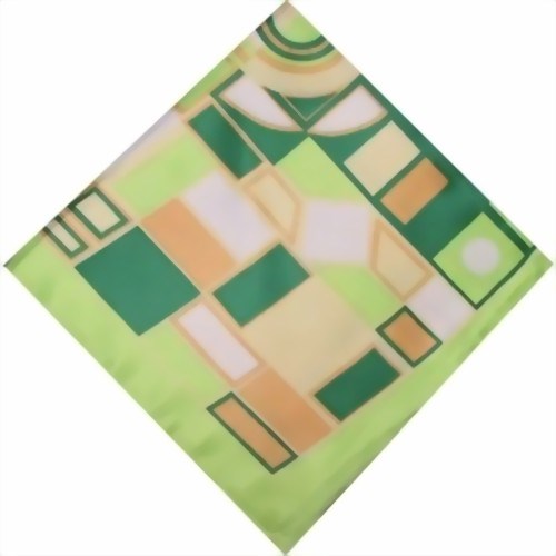 Bild von Foulard geometrico bordo verde
