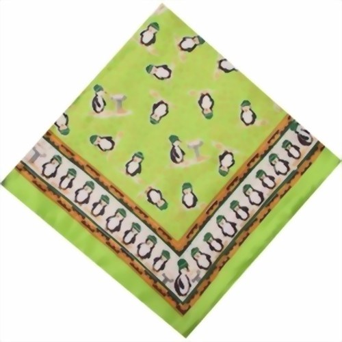 Bild von Foulard pinguini verde
