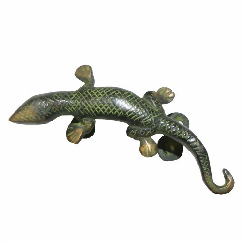 Bild von Manilla latón lagarto

