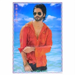 Bild von Póster Shahid Kapoor camisa mojada estrella de Bollywood
