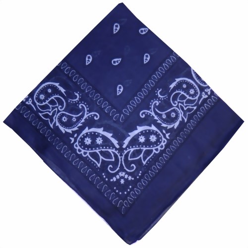 Bild von Bandana dunkelblau Paisley-Muster 